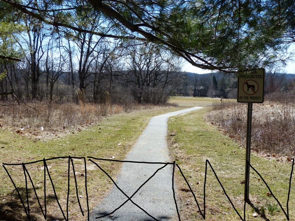 View of proposed fencing from entrance to Green Hills train at Salomon. Valley Forge Middle School is so far from this proposed fencing, it is not visible.