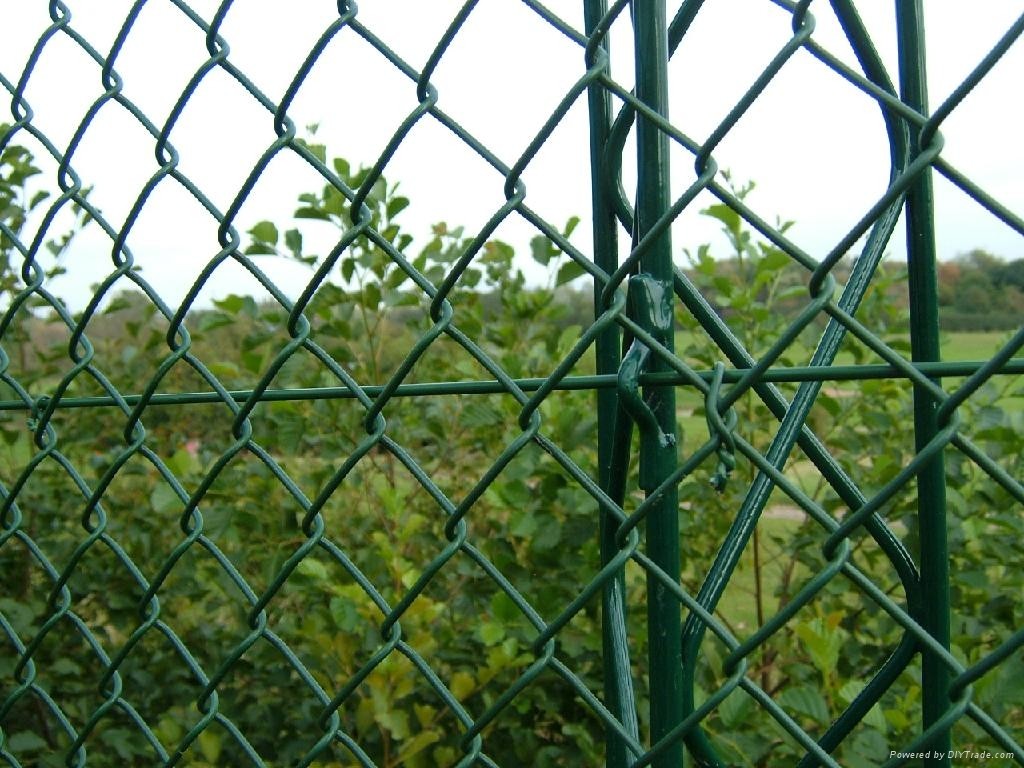 Chain_Link_Fence